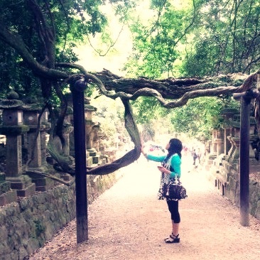 photo:01