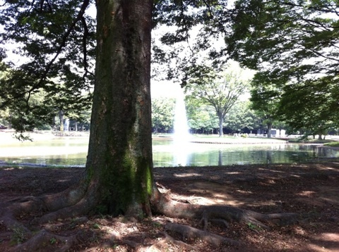 photo:01