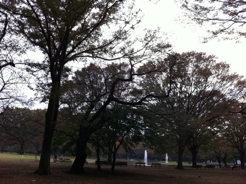 photo:01