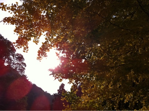 photo:02