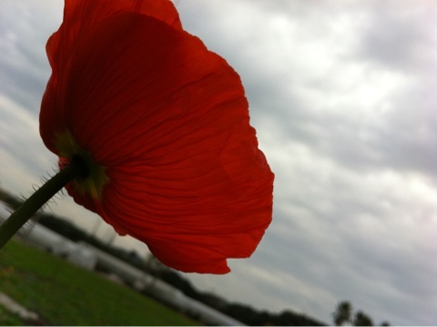photo:07