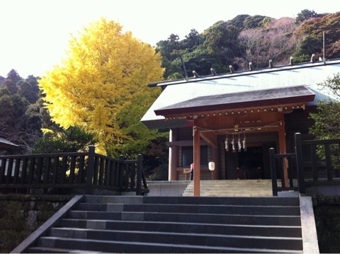 photo:01