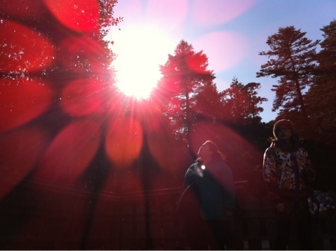 photo:01