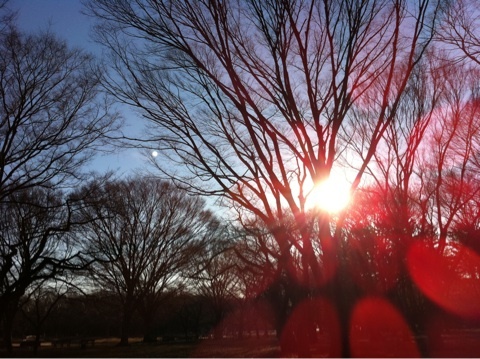 photo:02