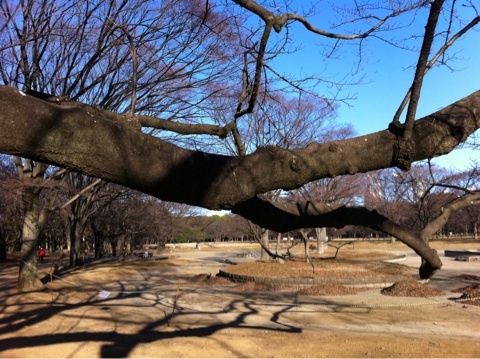 photo:01