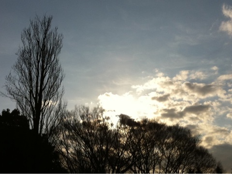 photo:02