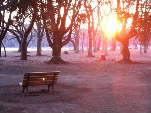 photo:02