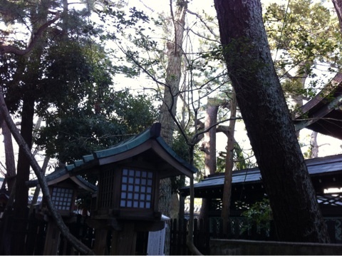 photo:06