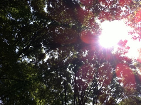 photo:01