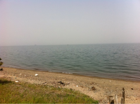 photo:01