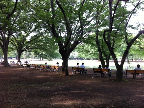 photo:02