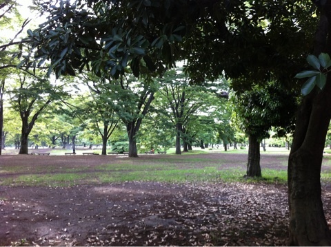 photo:01
