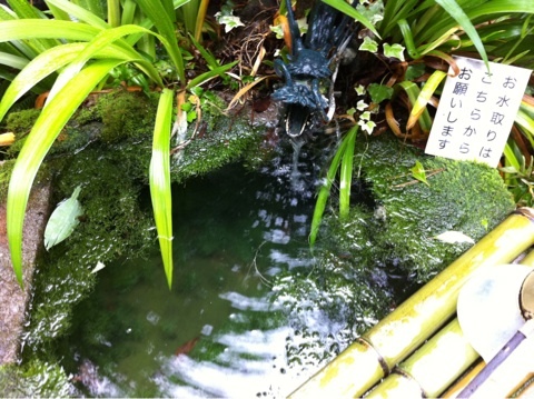 photo:02