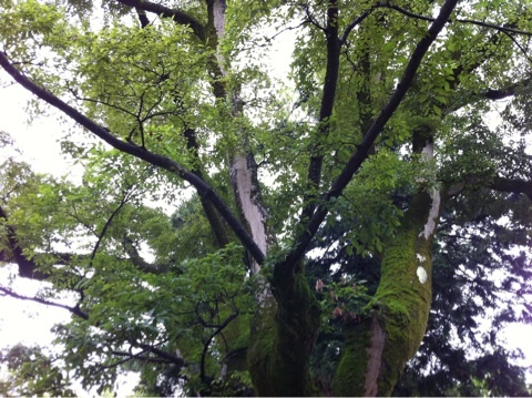 photo:03