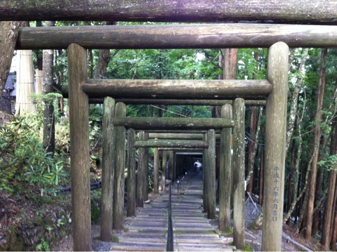 photo:02