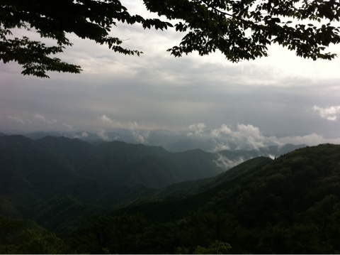 photo:01