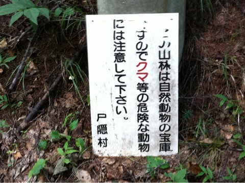 photo:02