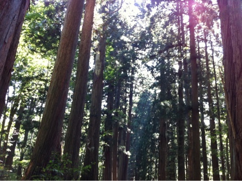 photo:01