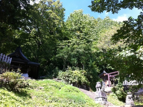 photo:02
