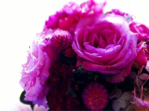 photo:01
