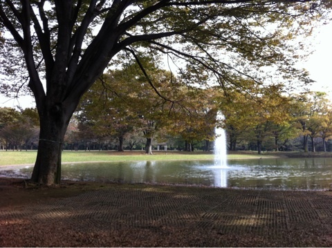 photo:01