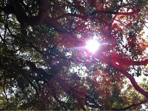 photo:01