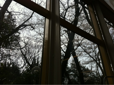 photo:01
