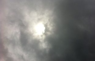 o0480035912025846198