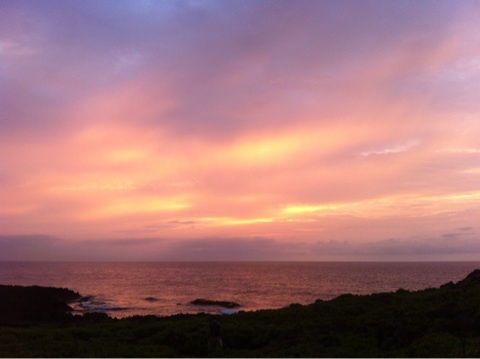 photo:03