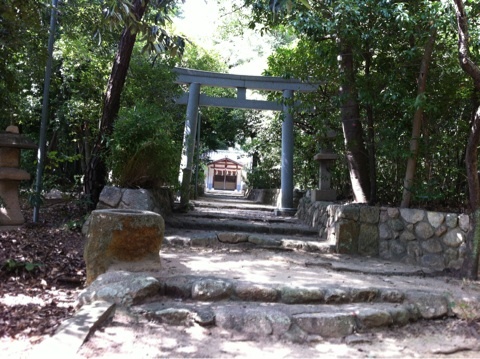 photo:05