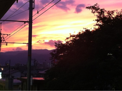 photo:10