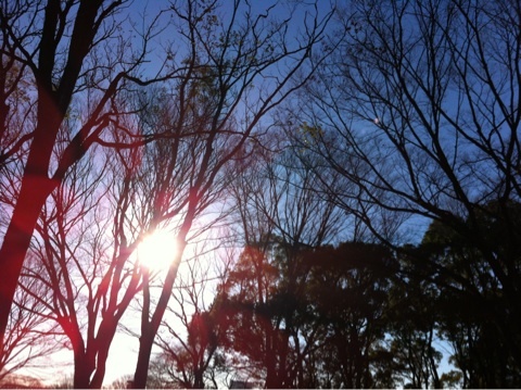 photo:01