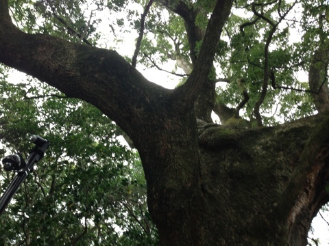 photo:04