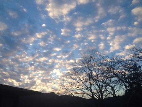 photo:09