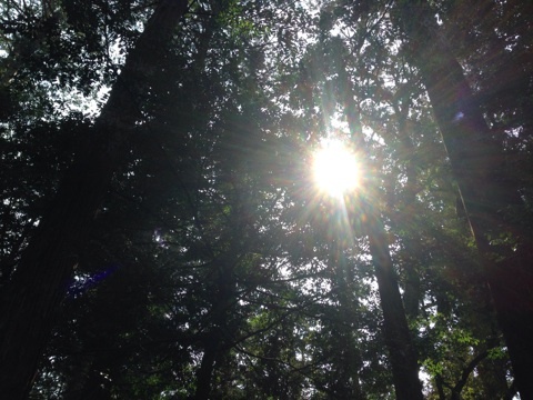 photo:02