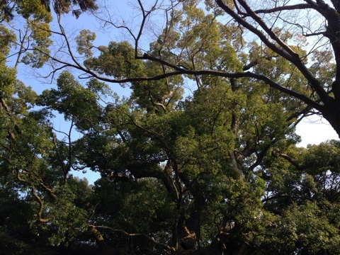 photo:01