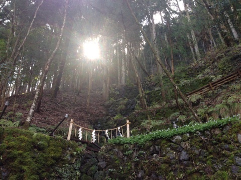 photo:03