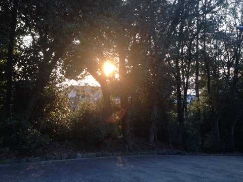 photo:02