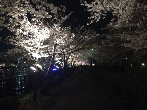 photo:01