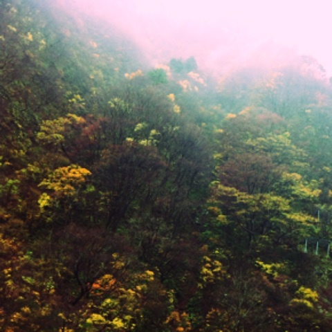 photo:01