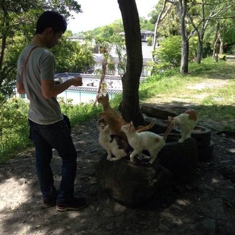 photo:04