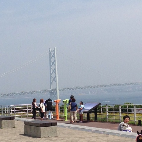 photo:01