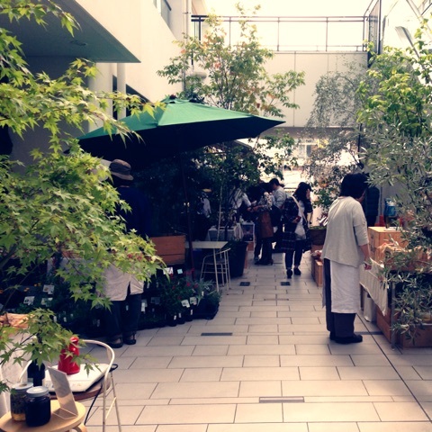 photo:01