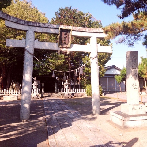 photo:01