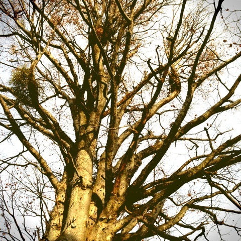 photo:01