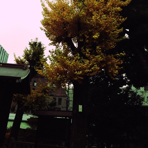 photo:01