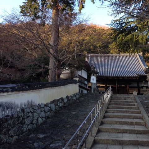 photo:06