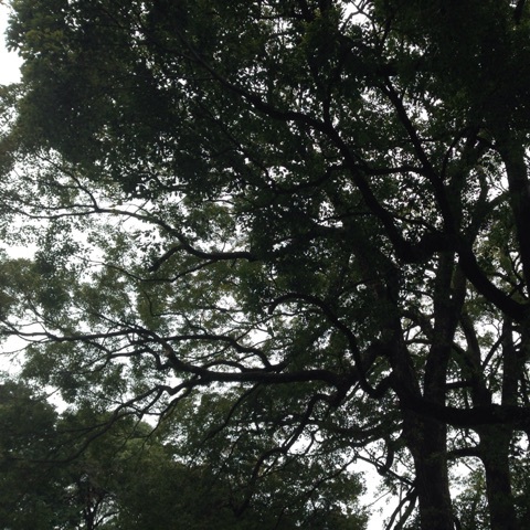 photo:01