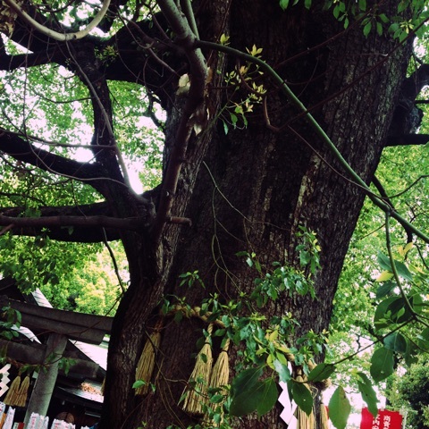 photo:01