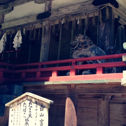 photo:04